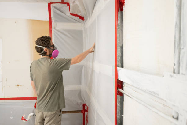 Best Dehumidification Services  in St Marys, WV