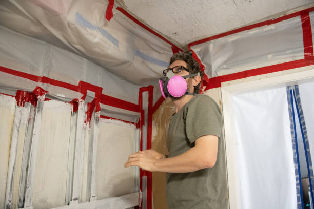 Best Mold Documentation for Insurance Claims  in St Marys, WV