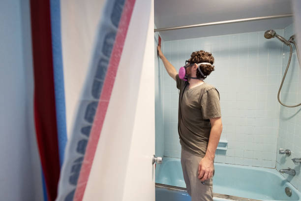 Trusted St Marys, WV Mold Removal Experts