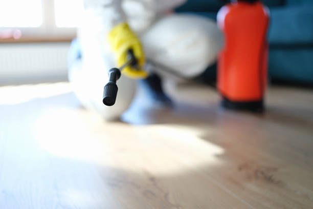 Best Mold Prevention Services  in St Marys, WV