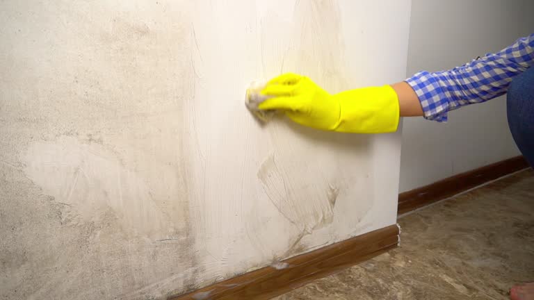 Best Air Quality Testing for Mold Spores  in St Marys, WV