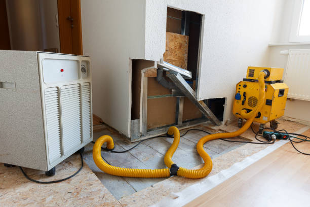 Mold Remediation for Rental Properties in St Marys, WV